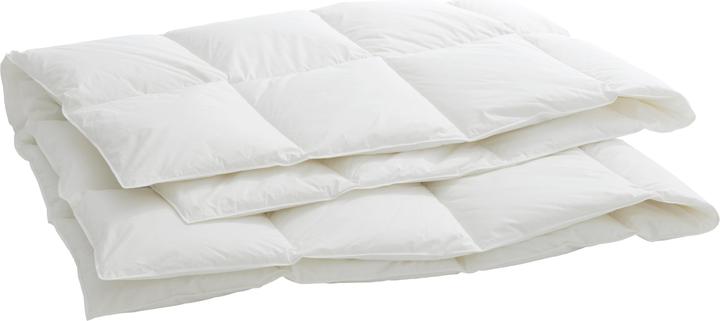 Produktbild Billerbeck Organic Goose Medium (690 g, 160 x 240 cm)