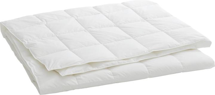Immagine prodotto Billerbeck Organic Goose Superlight (330 g, 200 x 210 cm)