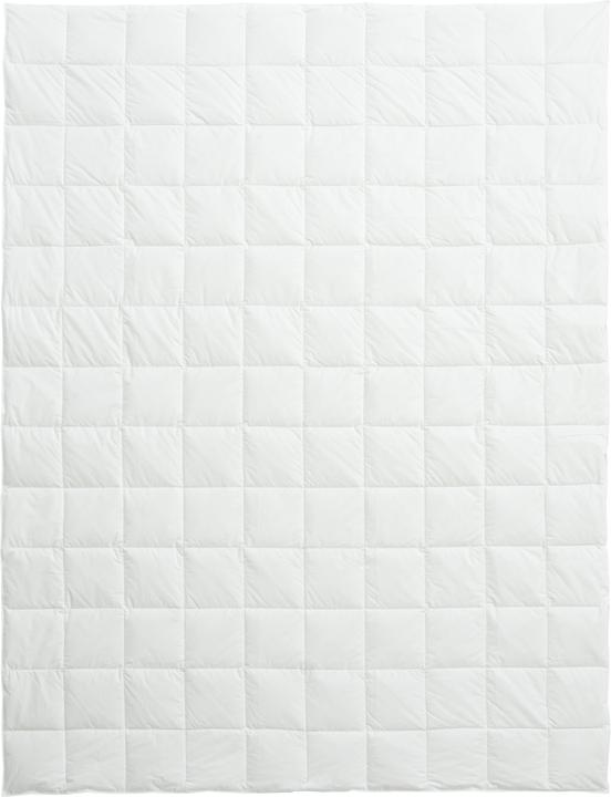 Immagine prodotto Billerbeck Organic Goose Superlight (330 g, 200 x 210 cm)