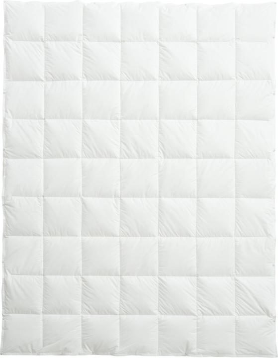 Image du produit Billerbeck Organic Goose 4-Saisons (450 g, 160 x 210 cm)