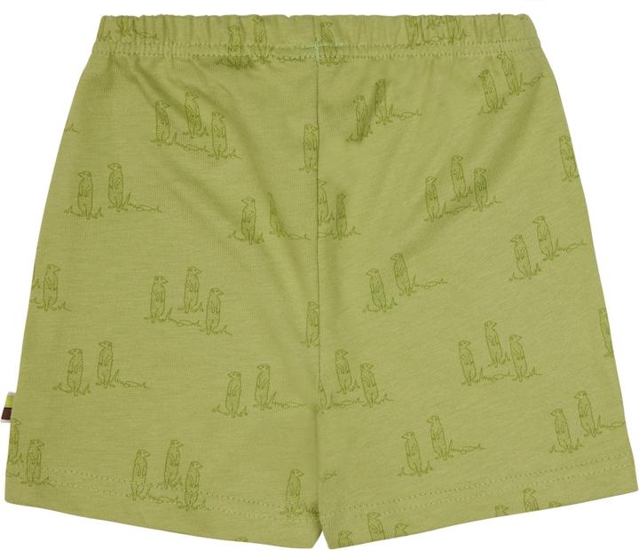 Produktbild loud + proud Short Druck (104)
