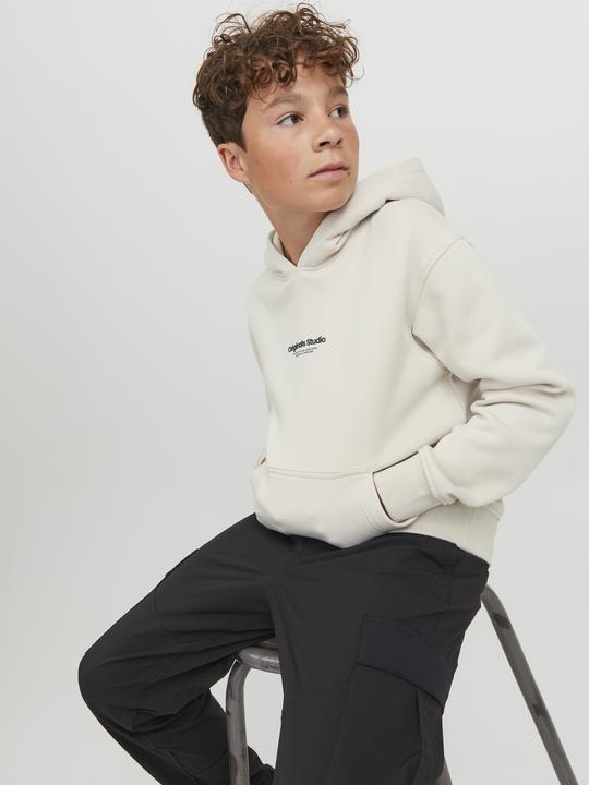 Image du produit Jack & Jones Sweat à capuche (152)