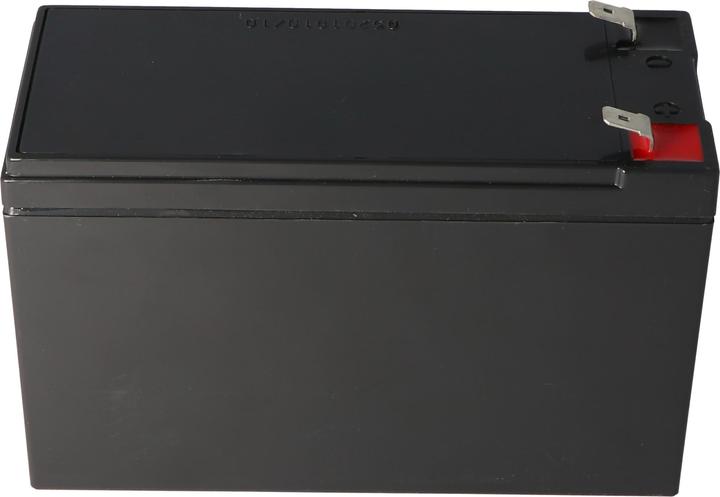 Immagine prodotto Fiamm Batteria FGH20902 versione resistente alle alte correnti (12 V, 9 Ah)