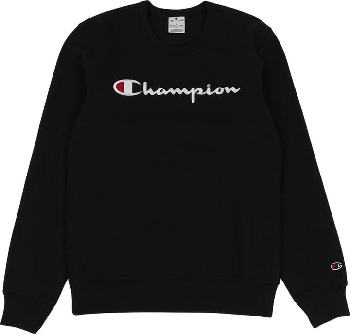 Actual product image Champion Sweatshirt Casual Loose-fitting crewneck sweatshirt (M)