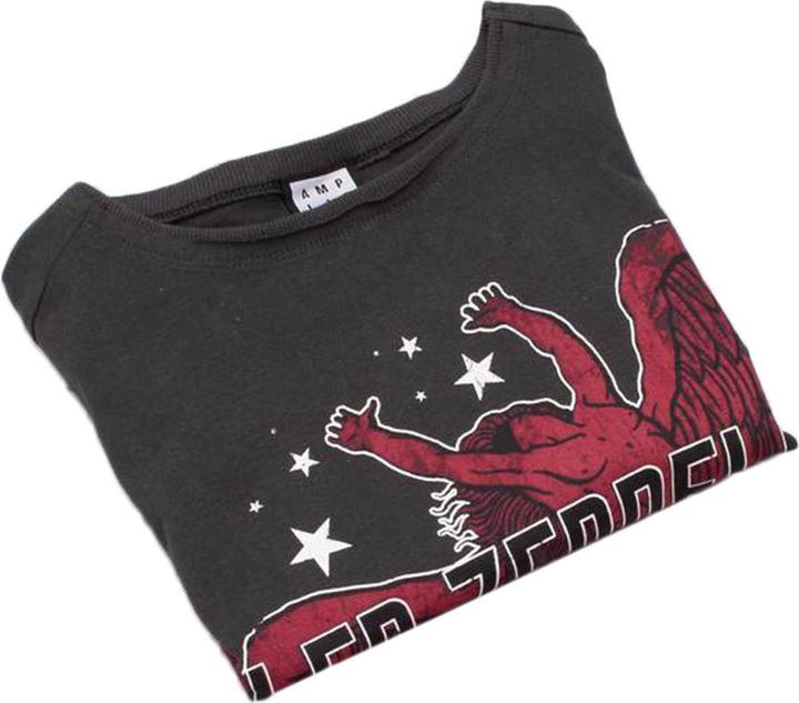 Actual product image Amplified Icarus Tour 77 Short top (M)