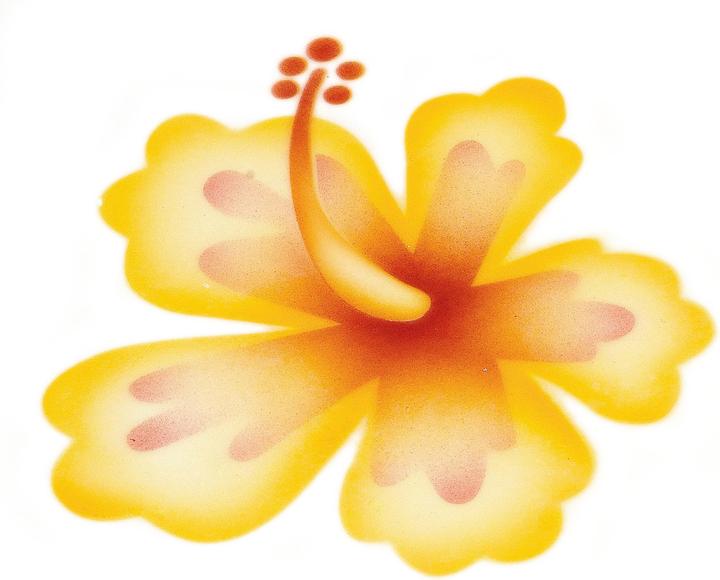 Actual product image Martellato Airbrush stencil ibiscus flower