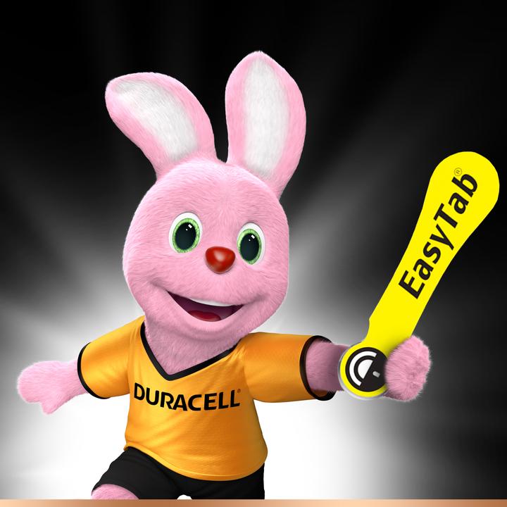 Actual product image Duracell Electronics Easy Tab (6 pcs., PR70, 90 mAh)