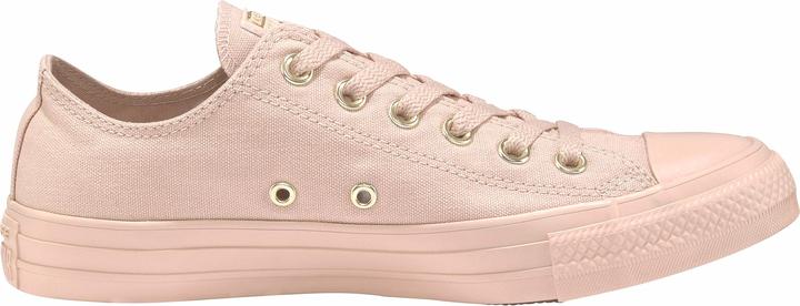 Image du produit Converse Chuck Taylor All Star Seasonal sneaker femmes (39)