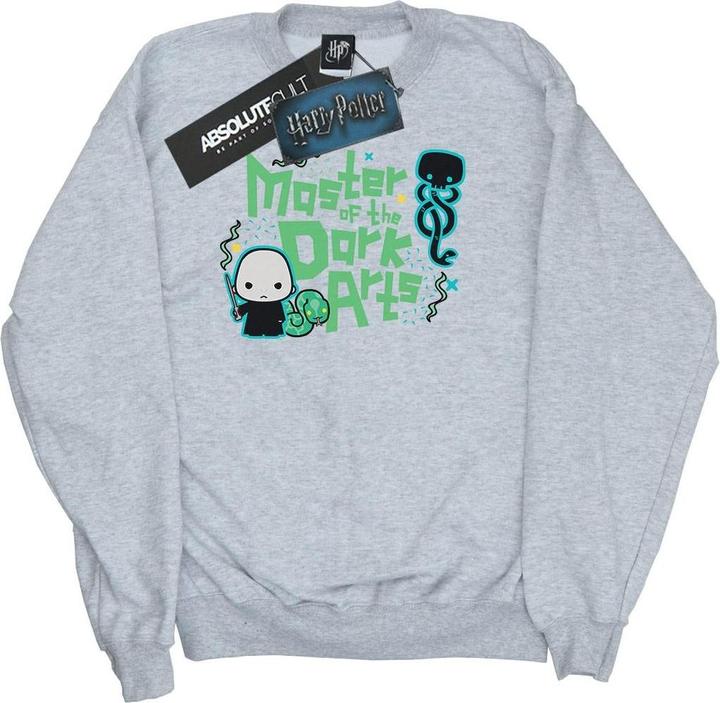 Image du produit - Sweat VOLDEMORT DARK ARTS JUNIOR - Garçon (152, 158)