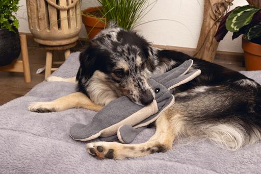 Image du produit Beeztees Jouets pour chiens Minus One