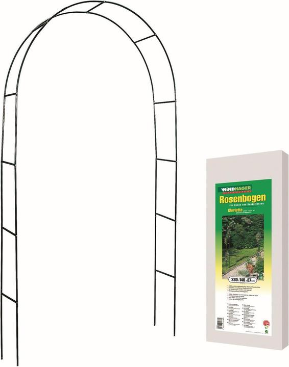 Produktbild Windhager Rosenbogen (37 cm, 140 cm)