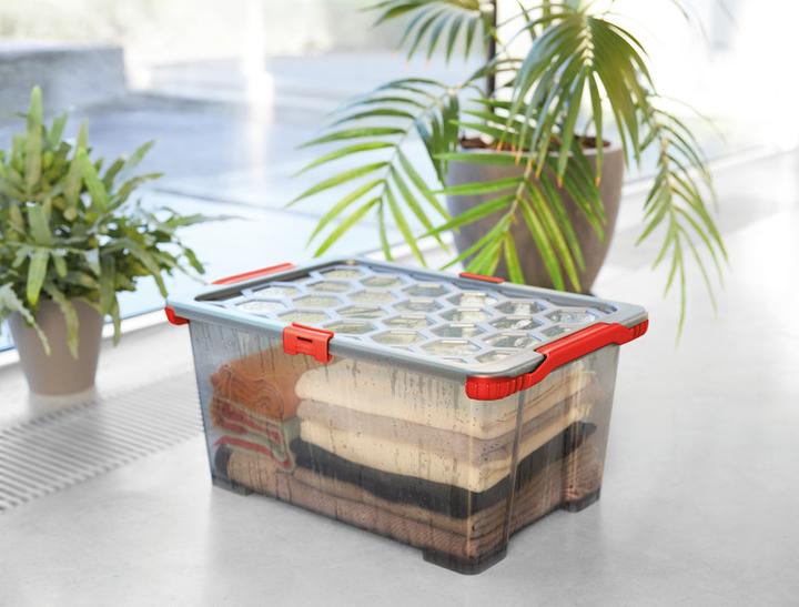 Actual product image Rotho Evo Safe Keeping (59 x 39.5 x 28 cm, 44 l)