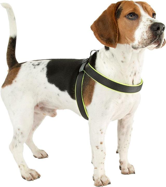 Produktbild Ferplast Agila Fluo (Hund, Hundesport)