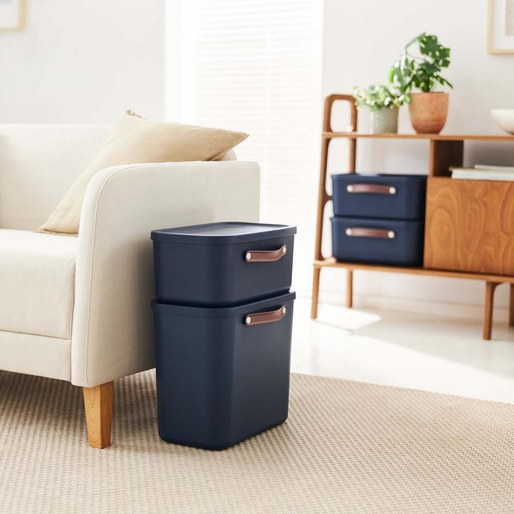 Immagine prodotto Rotho Set di 2 contenitori Maloja 25l (25 l)