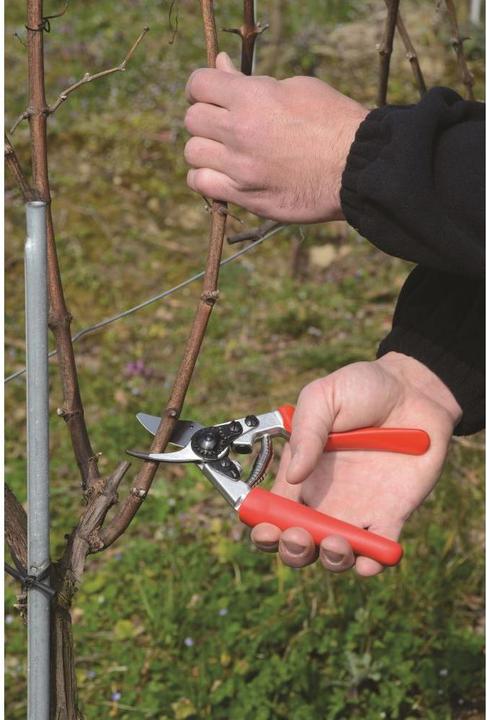 Produktbild Felco Gartenschere 12