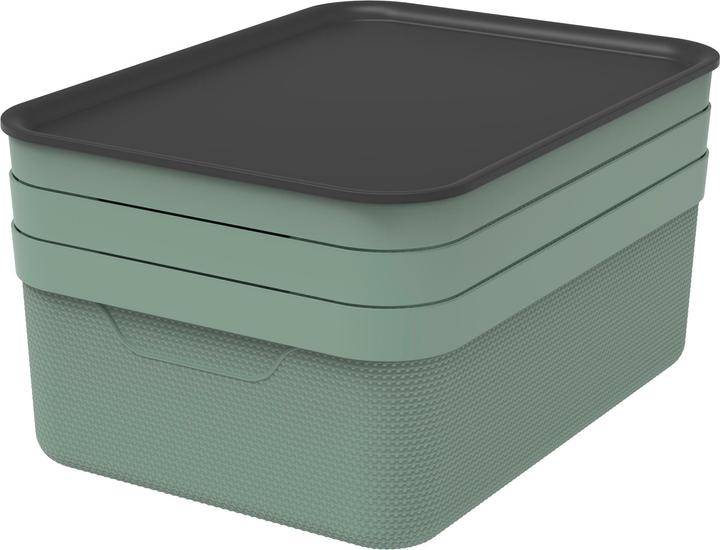 Immagine prodotto Rotho Jive (37,5 x 28 x 23,5 cm, 10 l)