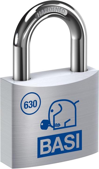 Actual product image BASI 4-teiliges Vorhängeschloss-Set, gleichschliessend