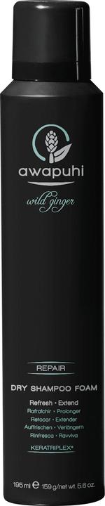 Image du produit Paul Mitchell Mousse de shampooing sec au gingembre sauvage Awapuhi (195 ml, Shampoing liquide)