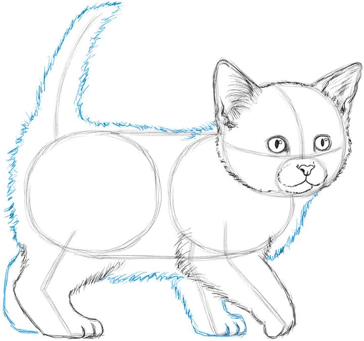 Immagine prodotto L'arte del disegno per i bambini - Io disegno gatti