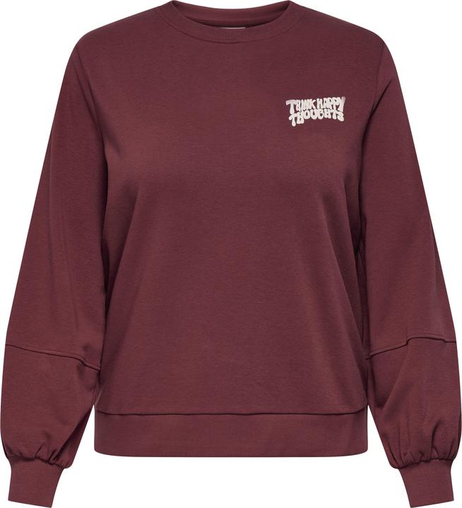 Produktbild Only CARKAVIRA Sweatshirt Sweatshirt (L)