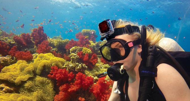 Image du produit GoPro Filtre rouge de plongée (boîtier de plongée et boîtier avec fixation bracelet) (Boîtier de bracelet, Logement de plongée)