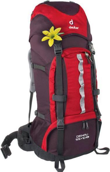 Image du produit Deuter Denali 55+10 SL (55 l)