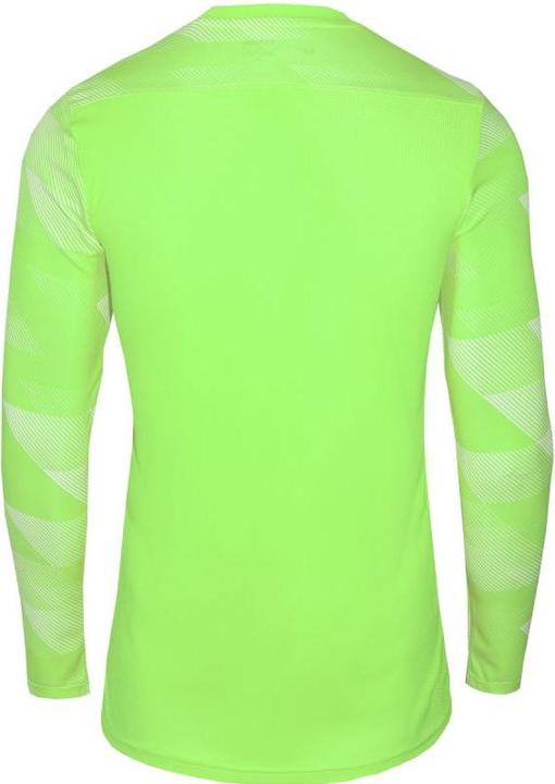 Actual product image Nike Park Iv Tw Jersey Long Sleeve (L)