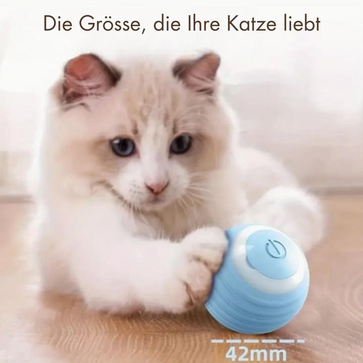 Actual product image Suba Electric cat ball with LED light (Cat ball toy)