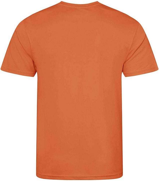 Actual product image Awdis Mens T-Shirt (XL)