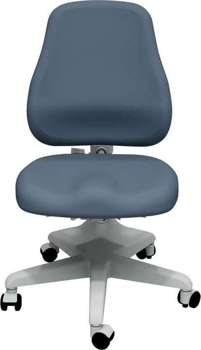 Actual product image Flexa Chair Verto Frosty