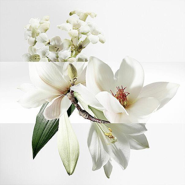 Produktbild Hermès Un Jardin Sur La Lagune (Eau de Toilette, 50 ml)