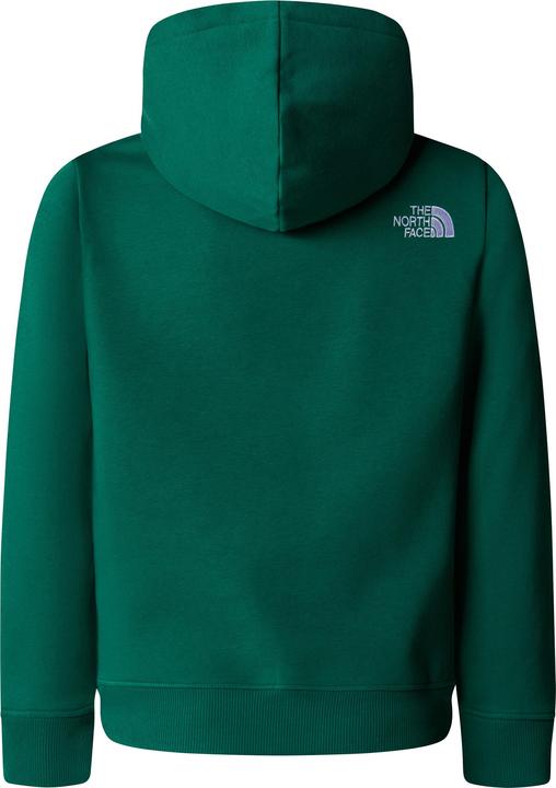 Immagine prodotto North Face Ragazzi Drew Peak (L)