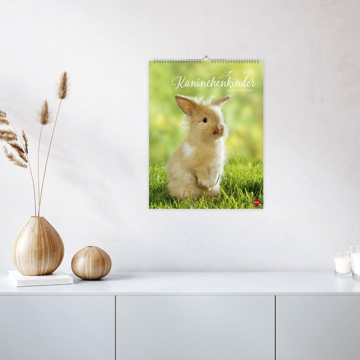 Produktbild Kaninchenkinder Posterkalender 2026 (34 x 44 cm, Harter Einband, Deutsch)