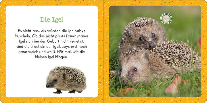 Actual product image Sound book for tiny tots - Little animals (German)