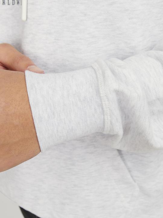 Produktbild Jack & Jones Jorlafayette Branding Sweat Hood (S)