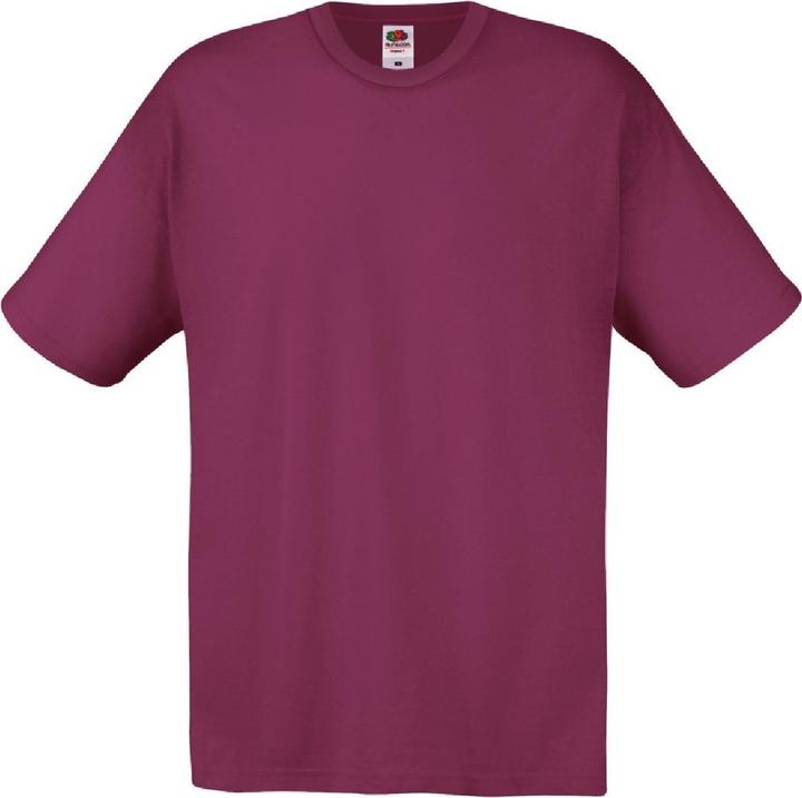 Fruit of the Loom Screen Stars Original TShirt