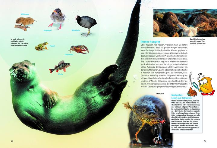 Image du produit Entdecke die Otter (Allemand, Krüger, Hans-Heinrich(Dr.), 2023)