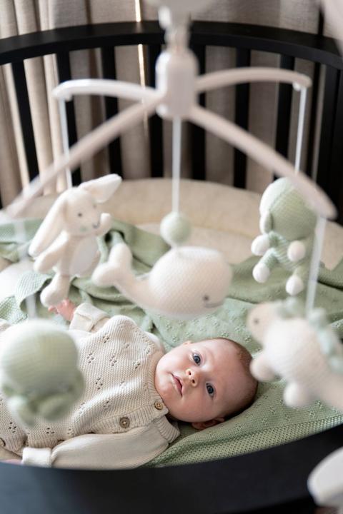 Actual product image Baby's only Musik Mobile Animals, Laurel Green/ Warm Linen