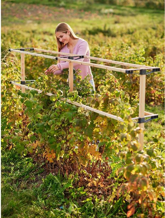 Productafbeelding Gusta Garden Bessenvriendje (120 cm, 34.50 cm)