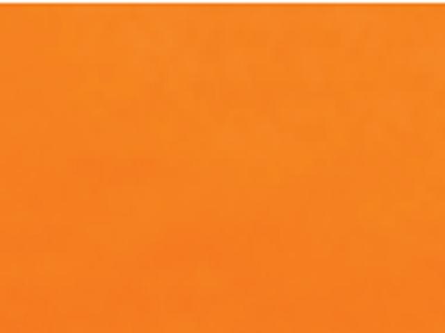 Image du produit Talens Peinture opaque Ecoline 30ml (Orange foncé, 30 ml)