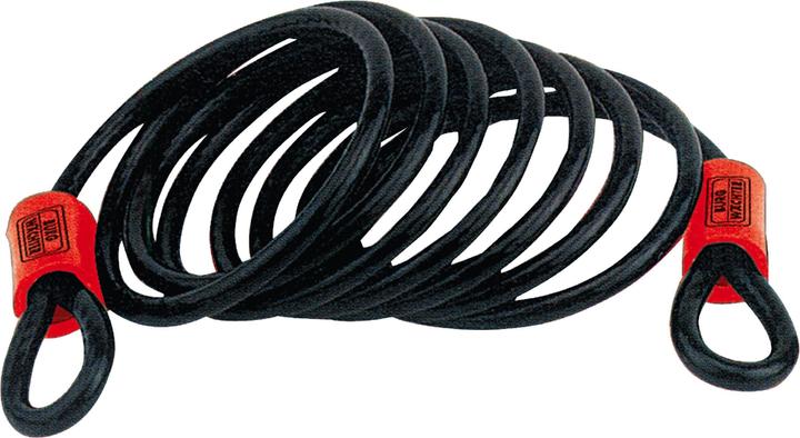 Actual product image Burg Wächter Spiral cable (250 cm)