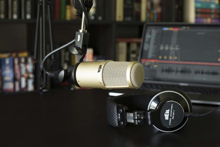 Produktbild Heil Sound PR 30 (Champagne)