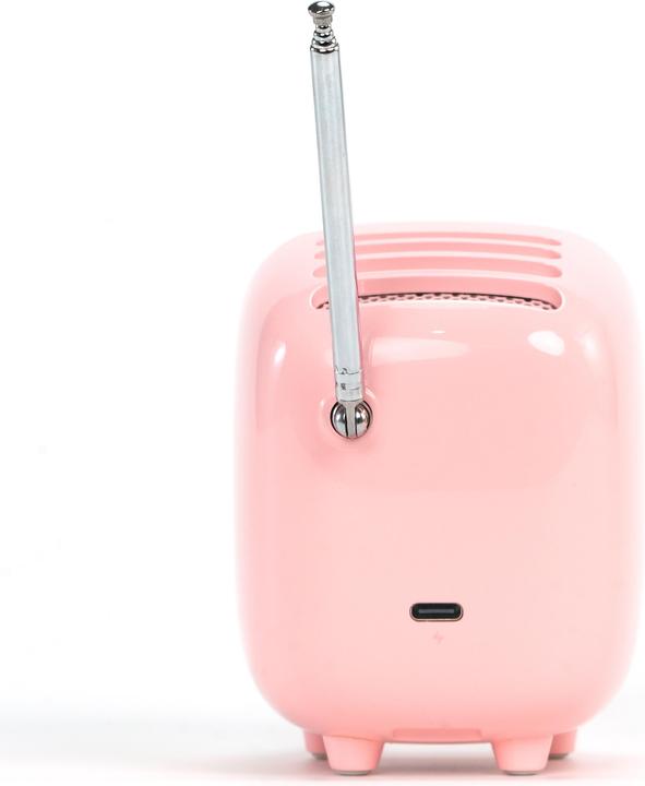 Immagine prodotto Divoom Tiivoo-2 pink