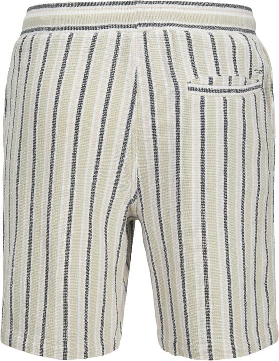 Produktbild Jack & Jones Jpstjaiden Coba Stripe Jog Short Sn Pls (46)