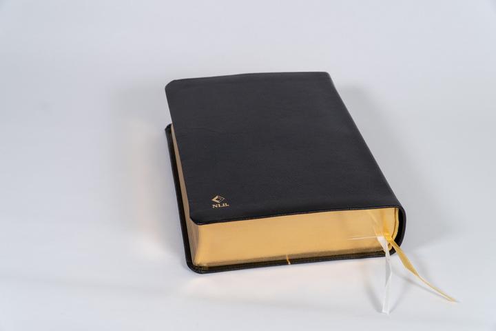 Produktbild Neues Leben. Die Bibel, Standardausgabe, Leder mit Goldschnitt (Deutsch, 2025)