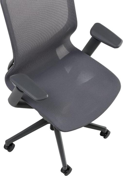 Actual product image Johann Jakob Aria