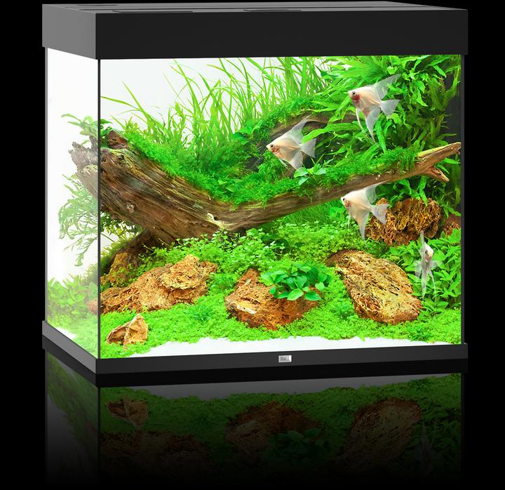Image du produit Juwel Aquarium Aquarium Lido 200 70x51x65cm noir (200 l)