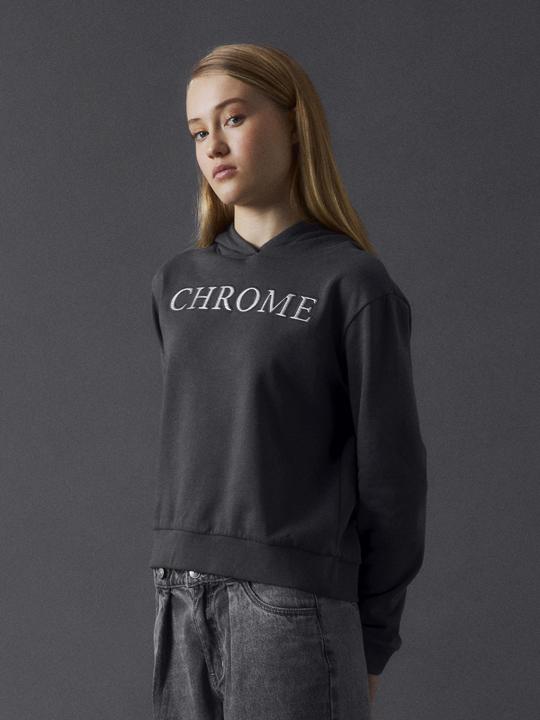 Actual product image Lmtd Relaxed fit hoodie (146)