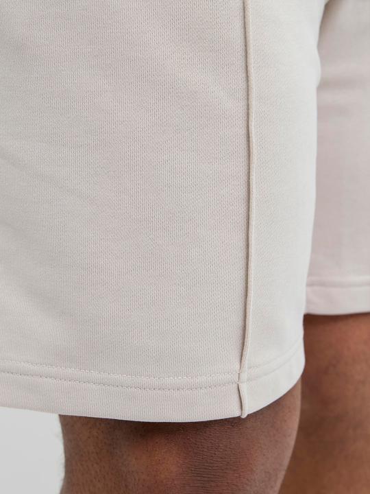 Immagine prodotto Jack & Jones Plus Size Loose Fit Sweat-Shorts Sweat-Shorts (40)