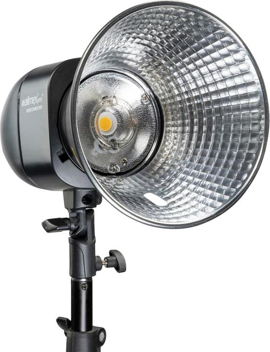Walimex pro Newcomer 300 Studioblitz II (300 W, Blitzkopf)